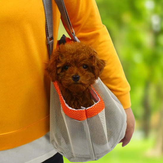 sac-de-transport-pour-chien-elegant