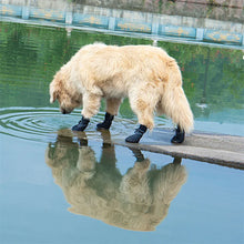 Charger l&#39;image dans la galerie, Chaussettes pour chien avec semelle en caoutchouc antidérapante, offrant une excellente adhérence sur sols lisses ou mouillés, idéales pour la protection des pattes.
