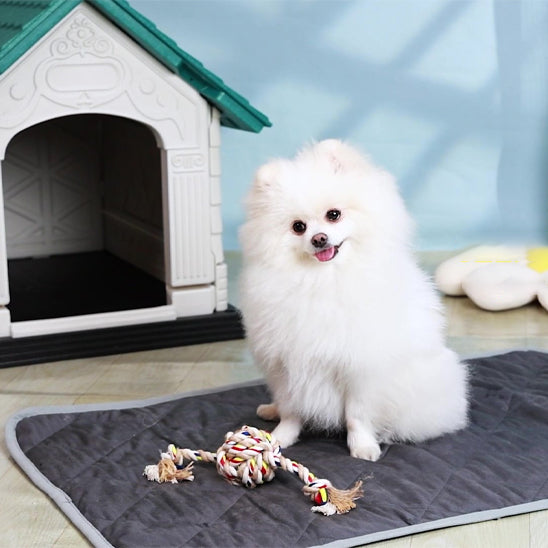 tapis-chien-auto-chauffant.