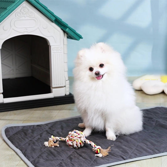 tapis-chien-auto-chauffant.