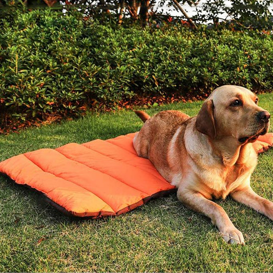 tapis-chien-camping-exterieur