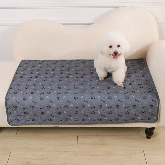 tapis-chien-reutilisable
