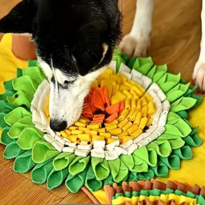 tapis-de-fouille-chien-renifleur