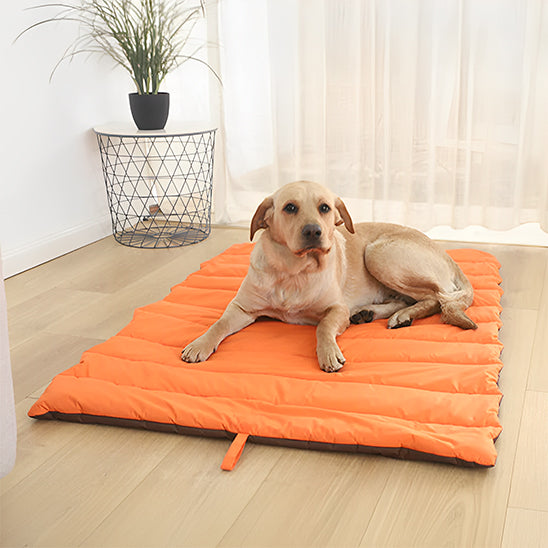 tapis-hygienique-pour-chien