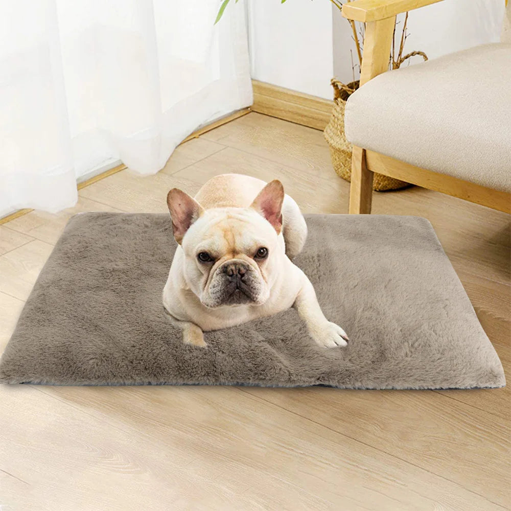 tapis-lavable-pour-chien