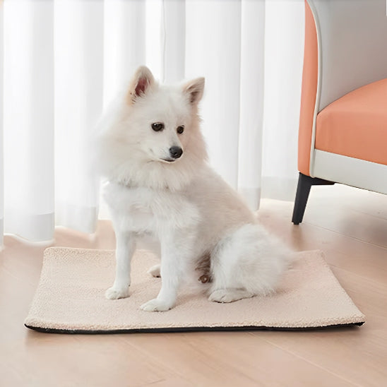 tapis-pour-chien-antiderapant