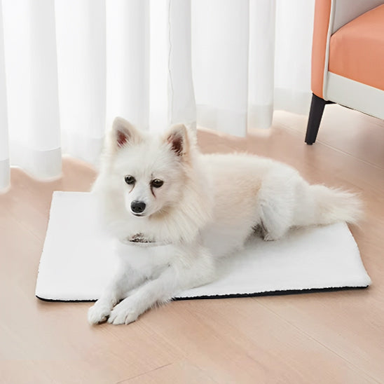 tapis-pour-chien-confortable-blanc