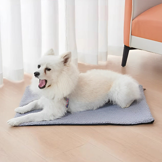 tapis-pour-chien-douillet