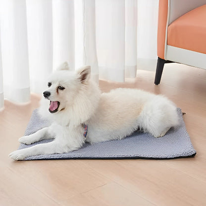 tapis-pour-chien-douillet