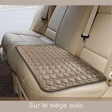 Charger l&#39;image dans la galerie, tapis-rafraichissant-chien-en-voiture
