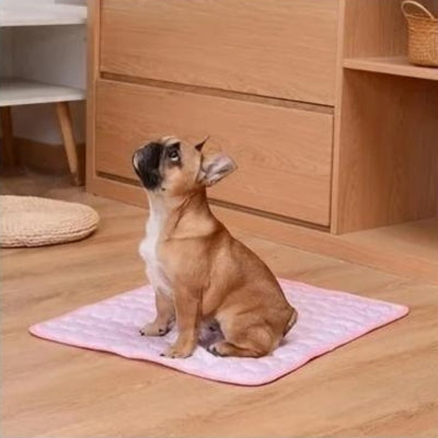tapis-rafraichissant-chien-rose