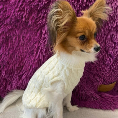 vetement-pour-chien-laine-blanc