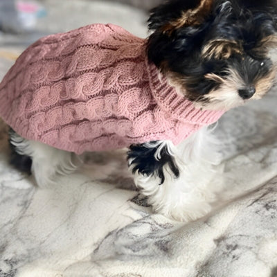 vetement-pour-chien-laine-rose
